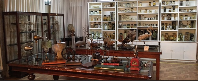 Museu de Ciências Naturais Leopoldo Cathoud da Secretaria de Estado de Educação em Minas Gerais, em Belo Horizonte. Foto: Arquivo SEE